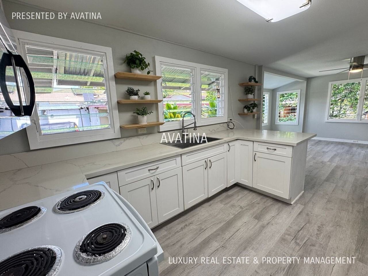 253 Olive Ave #A - Photo 6 of 17