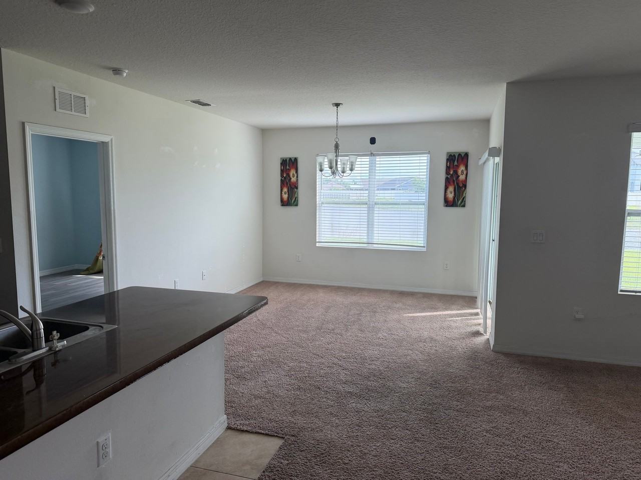 3117 Royal Tern Dr - Photo 7 of 13