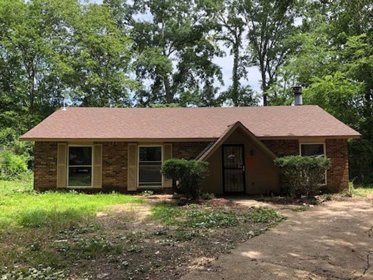 1701 Shady Lane Dr - Photo 4 of 4