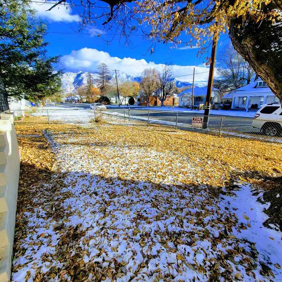 462 Canyon Rd #A - Photo 3 of 16