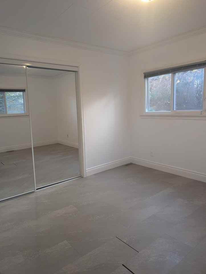 362 London St - Photo 6 of 18