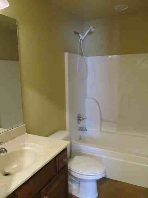 3205 Horseshoe Cv #1 - Photo 6 of 15