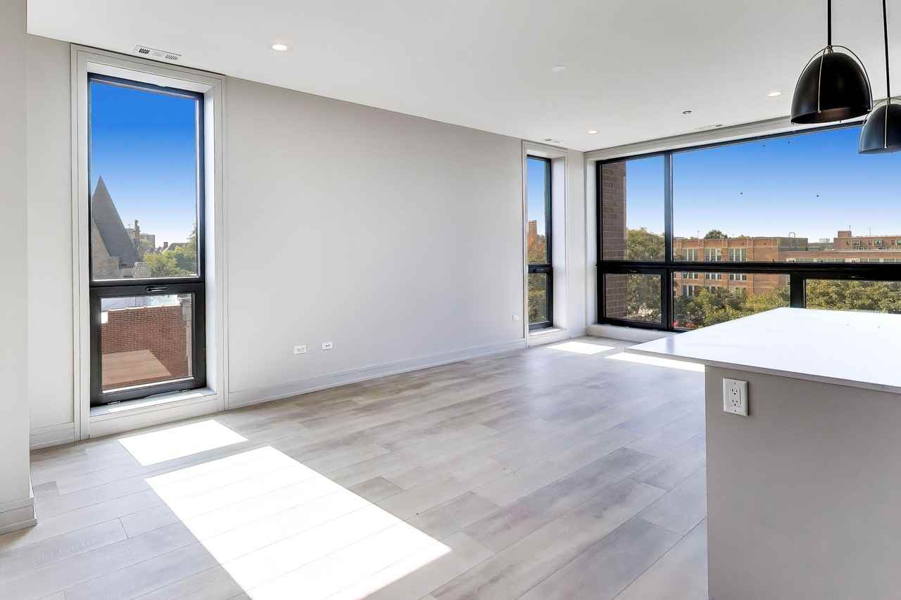 3645 S Michigan Ave #4N - Photo 5 of 29