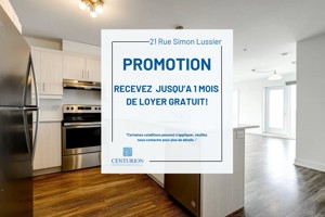 featured image of 21 Rue Simon-Lussier