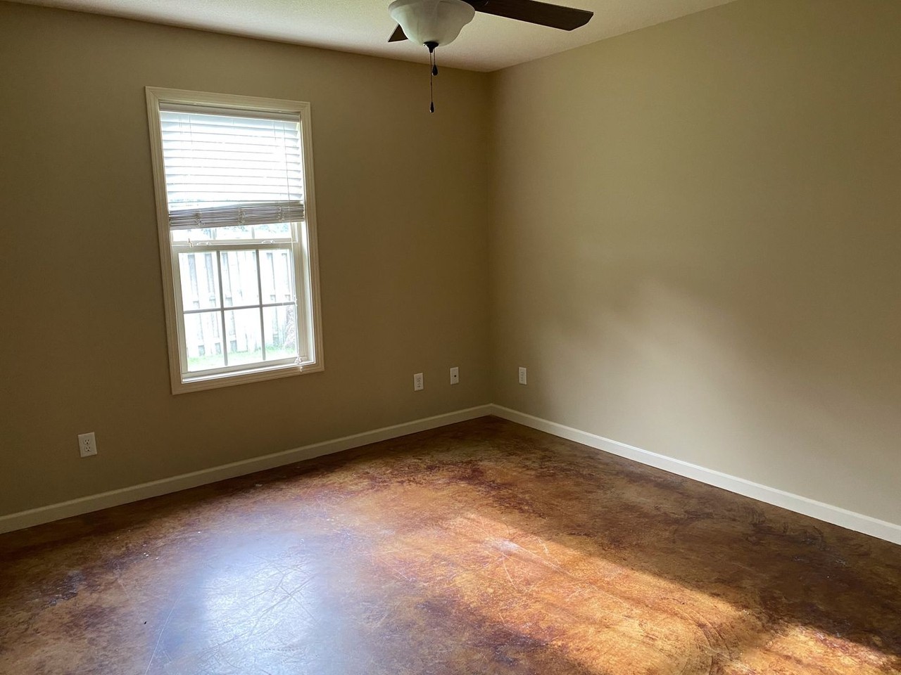 303 Shirley St - Photo 4 of 10