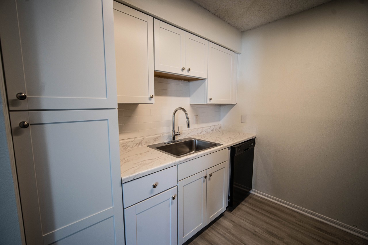 1725 Seydler Street - Photo 3 of 29