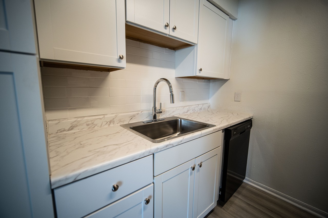 1725 Seydler Street - Photo 6 of 29