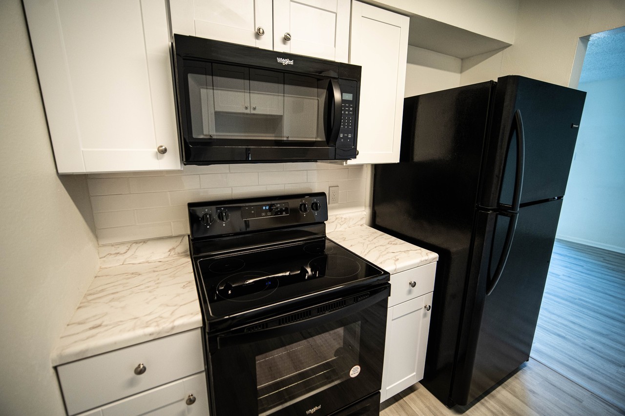 1725 Seydler Street - Photo 7 of 29