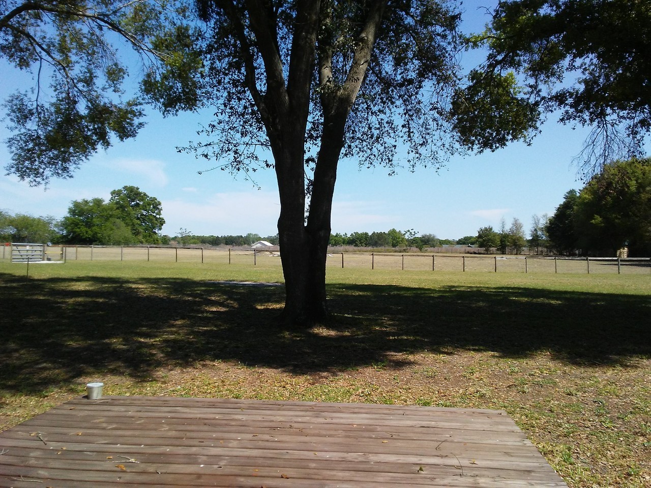 8441 County Road 127 #NA - Photo 3 of 13