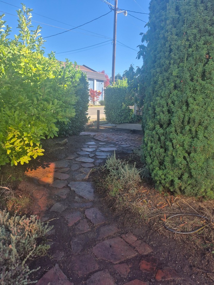 917 Veneta Ave #NA - Photo 3 of 14