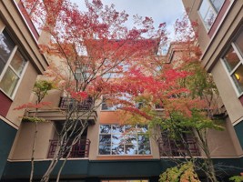 featured image of 3011 78th Ave Se