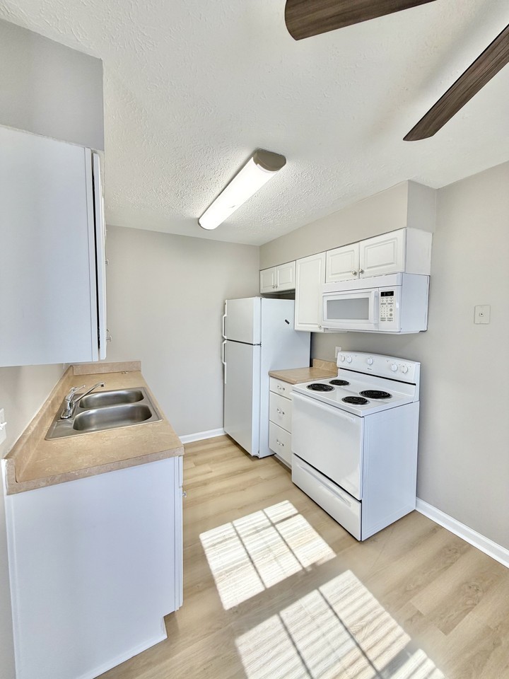 1309 Powhatan Trl #3 - Photo 4 of 10