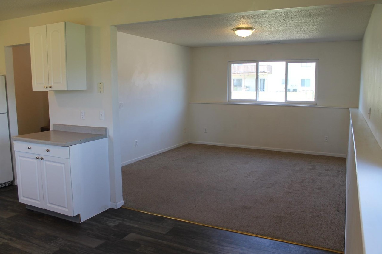 1121 Roosevelt St - Photo 4 of 11