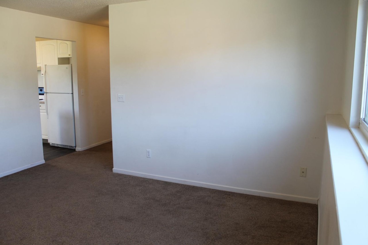 1121 Roosevelt St - Photo 5 of 11