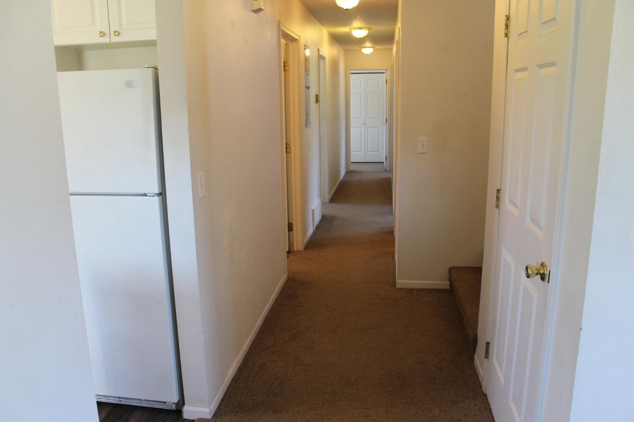1121 Roosevelt St - Photo 7 of 11