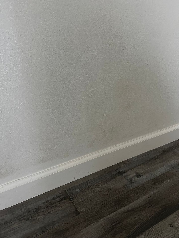 Bonnie Villa Apartments - Photo 3 of 10
