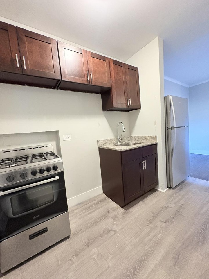 6949 S Paxton Ave #3C - Photo 6 of 14