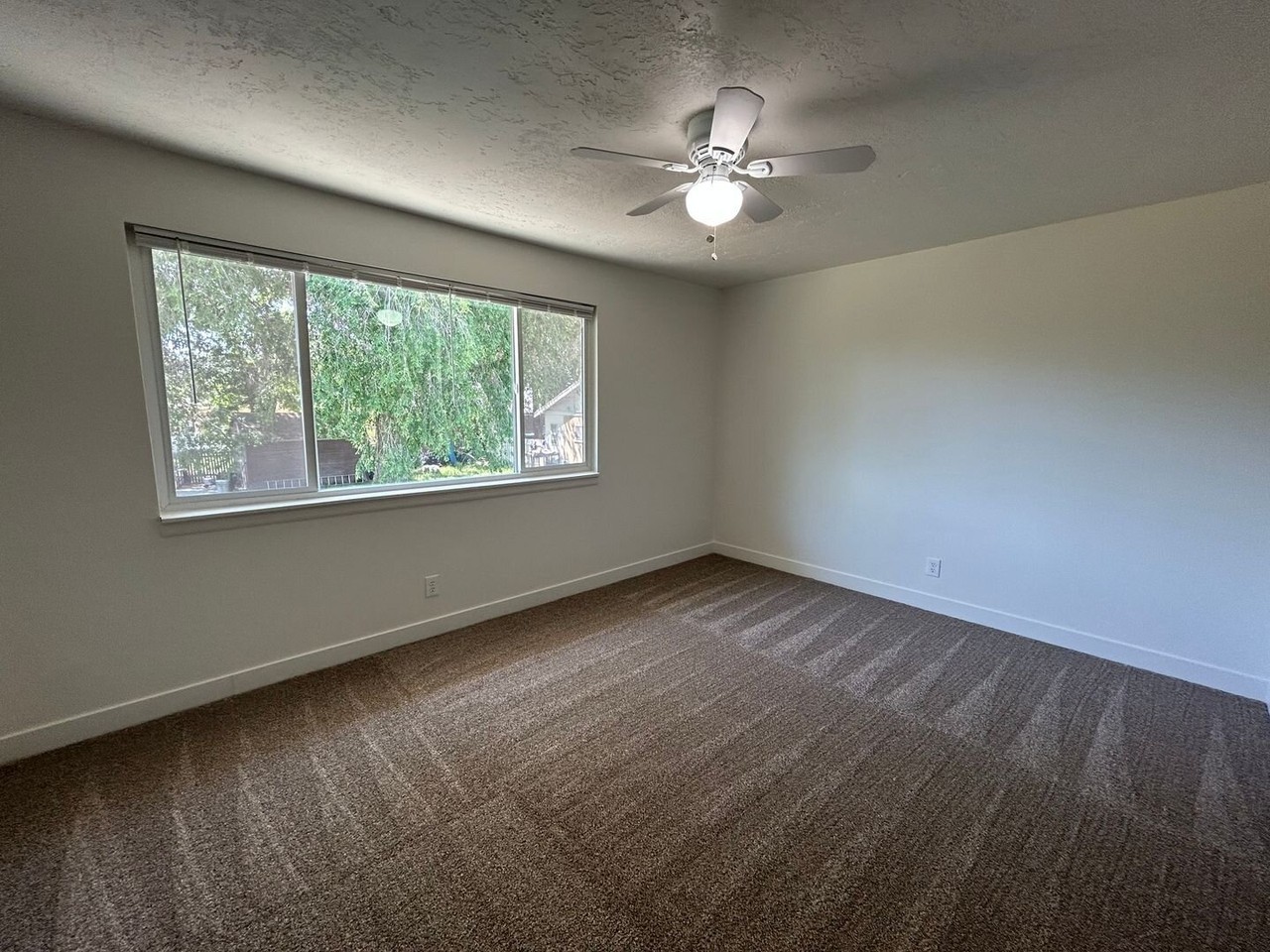 238 Se - Photo 4 of 9