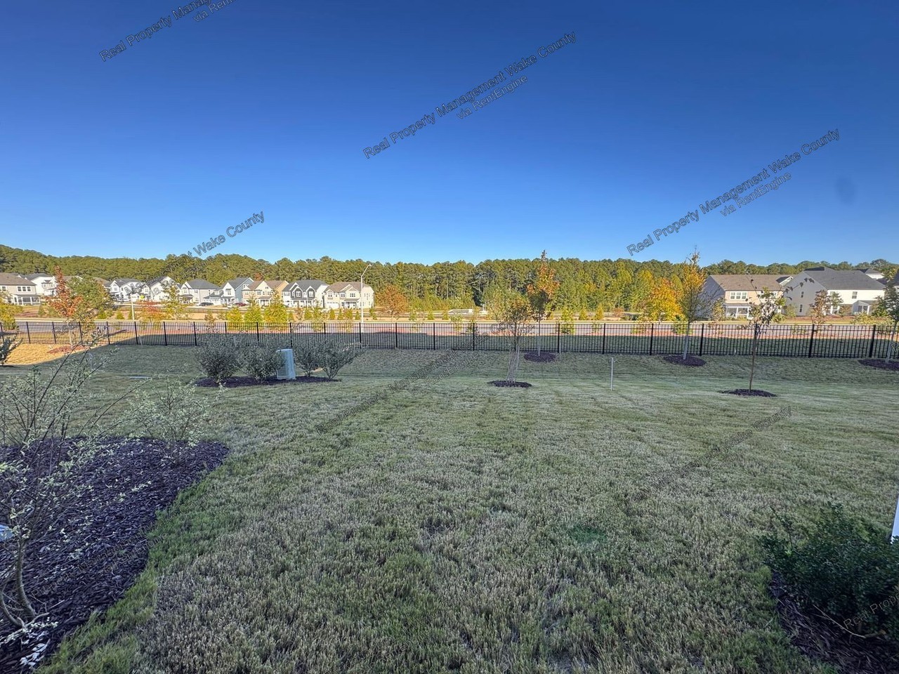 10032 Secluded Garden Dr - Photo 6 of 14