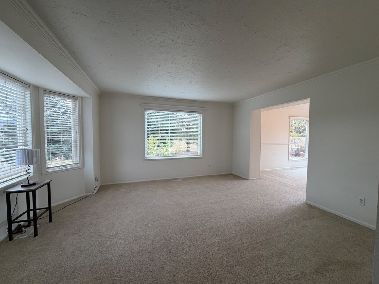 916 Caribou Dr W - Photo 5 of 23