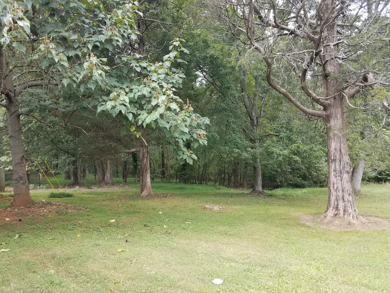 4604 Us Highway 220 N #NA - Photo 7 of 11