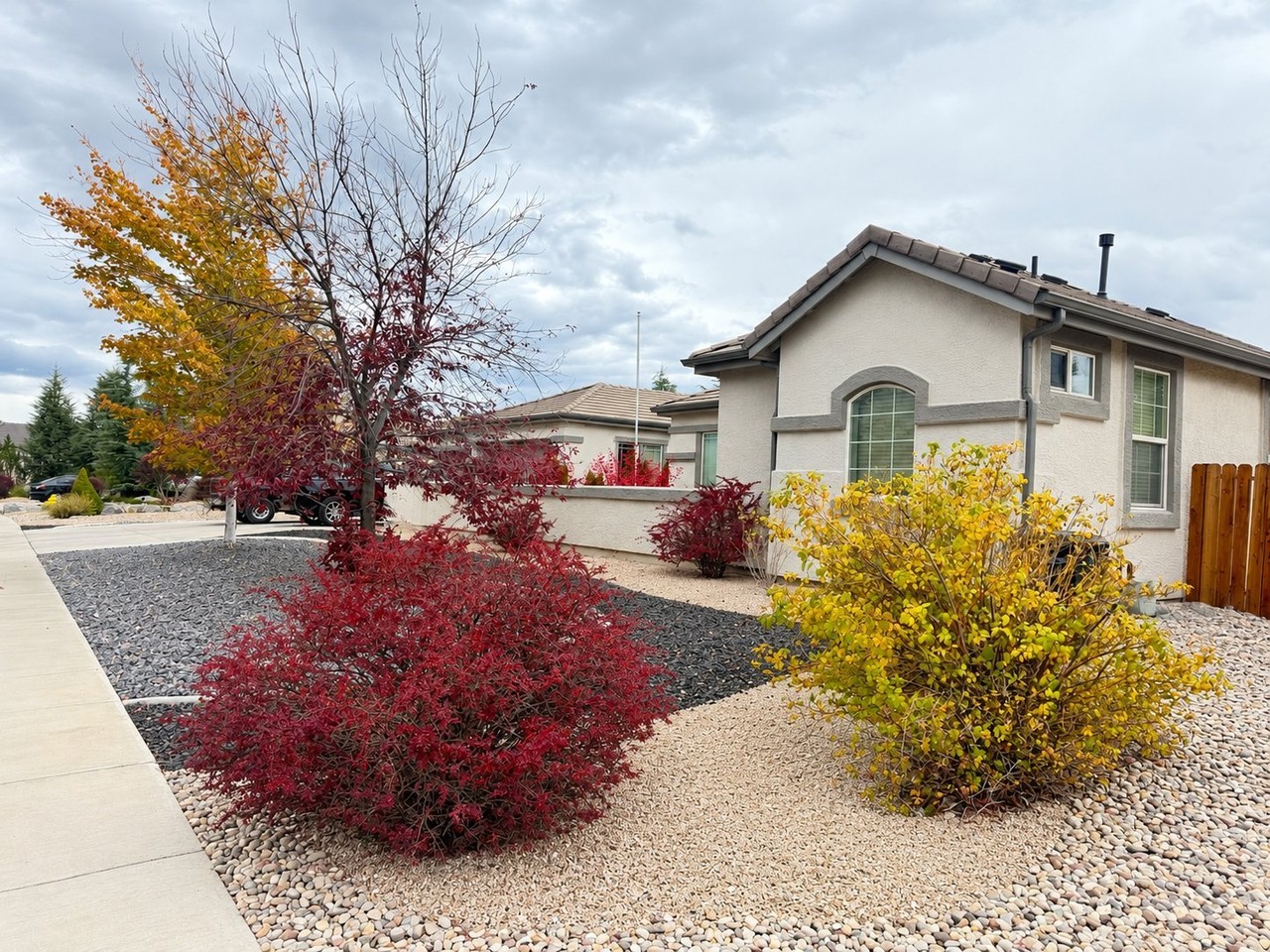 3787 Desert Fox Dr - Photo 2 of 20