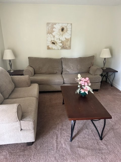 369 Crabapple Cir #97 - Photo 3 of 16