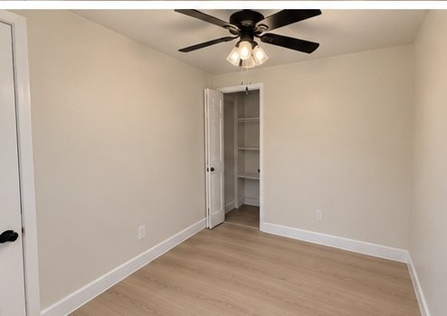 5326 Indian Pipe St - Photo 4 of 7