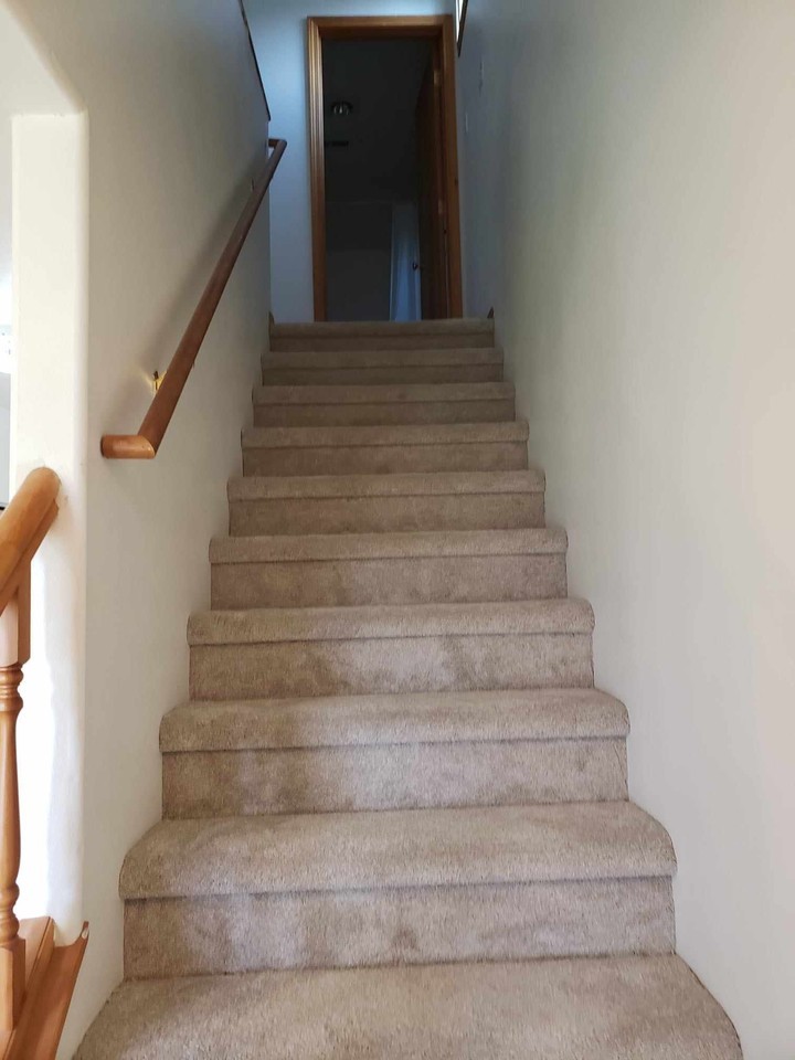 204 Peregrine Ln - Photo 7 of 18