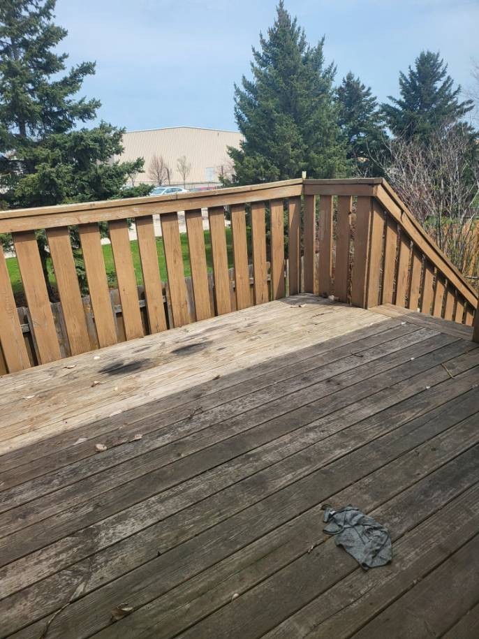 2741 33 1/2 Ave S #1 - Photo 3 of 11