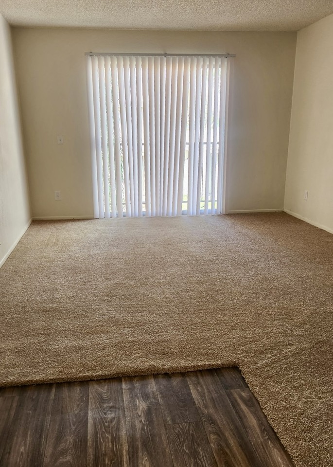 2846 E Kathleen Rd #201 - Photo 3 of 12