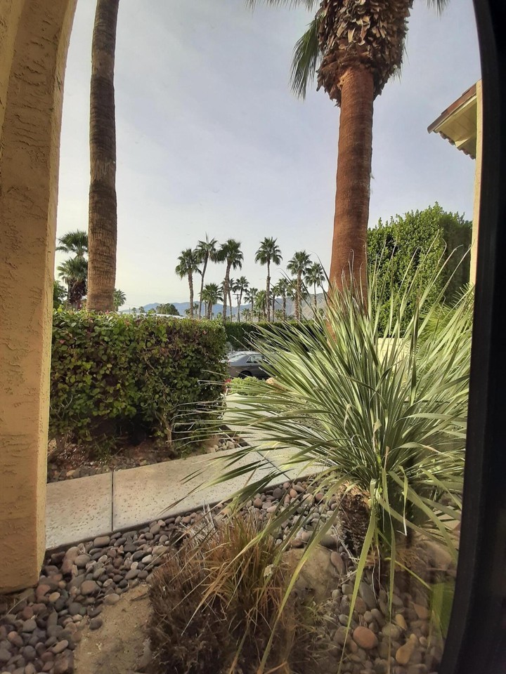 1405 N Sunrise Way #2 - Photo 7 of 12