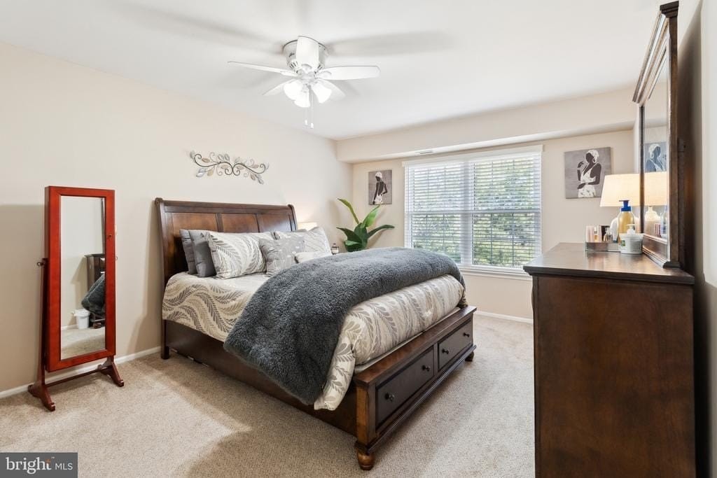 2608 Society Pl - Photo 7 of 16