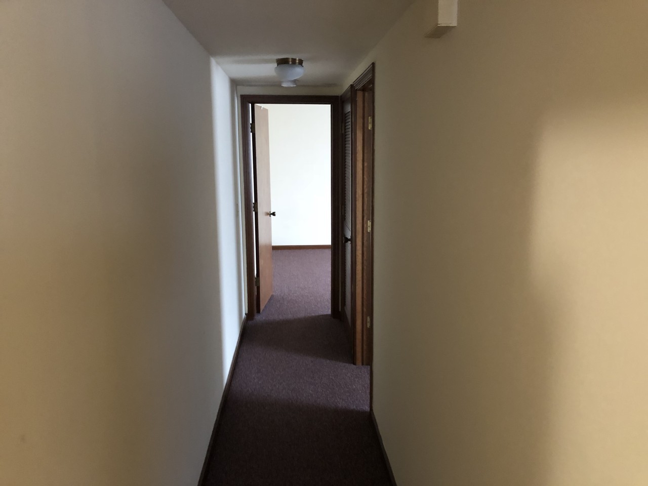 1904 N Sand Dollar Dr #C - Photo 5 of 8