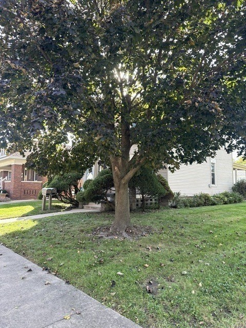302 S Vermillion St #1A - Photo 6 of 21