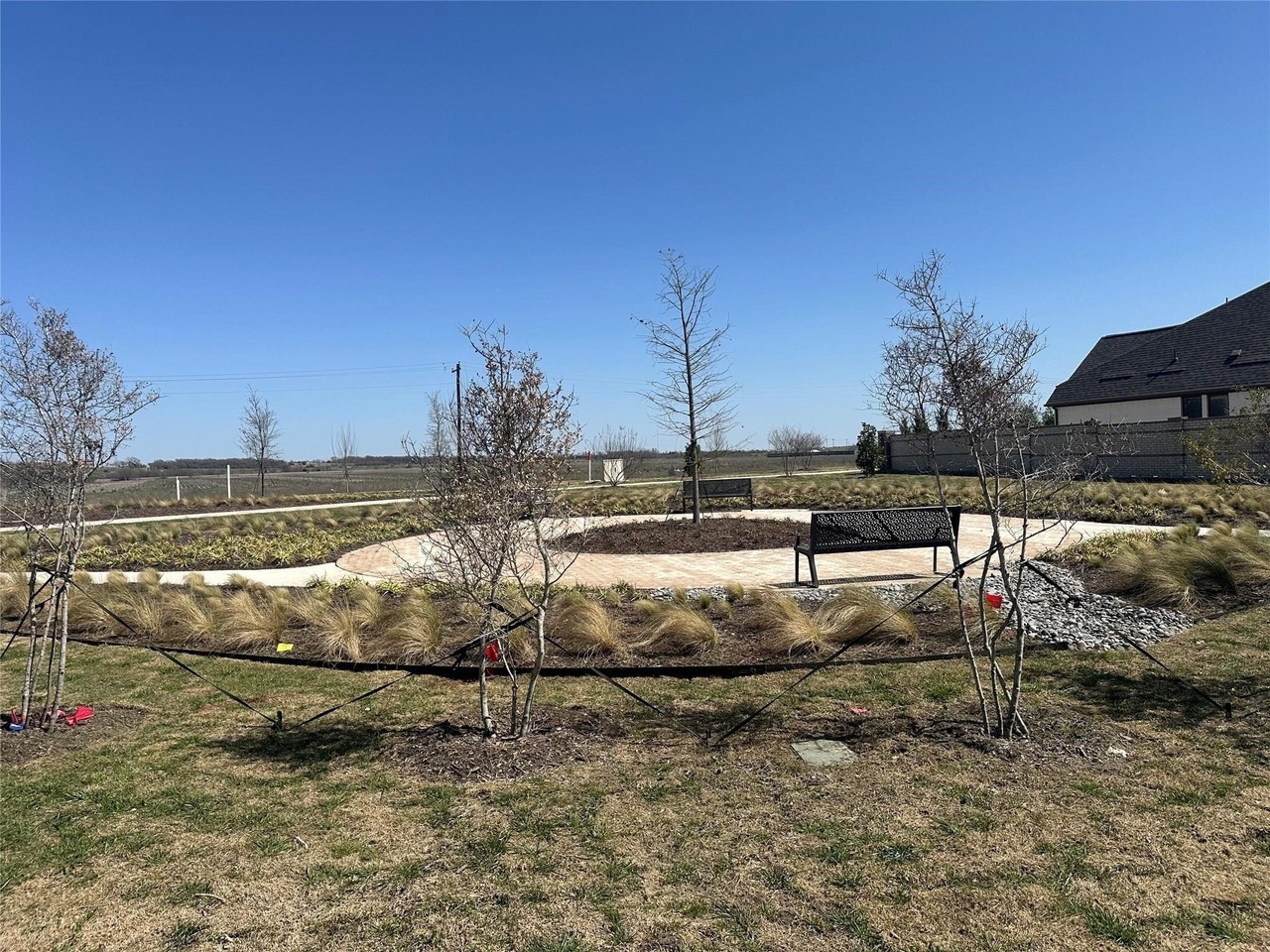 3312 Autumn Sage Dr - Photo 2 of 15