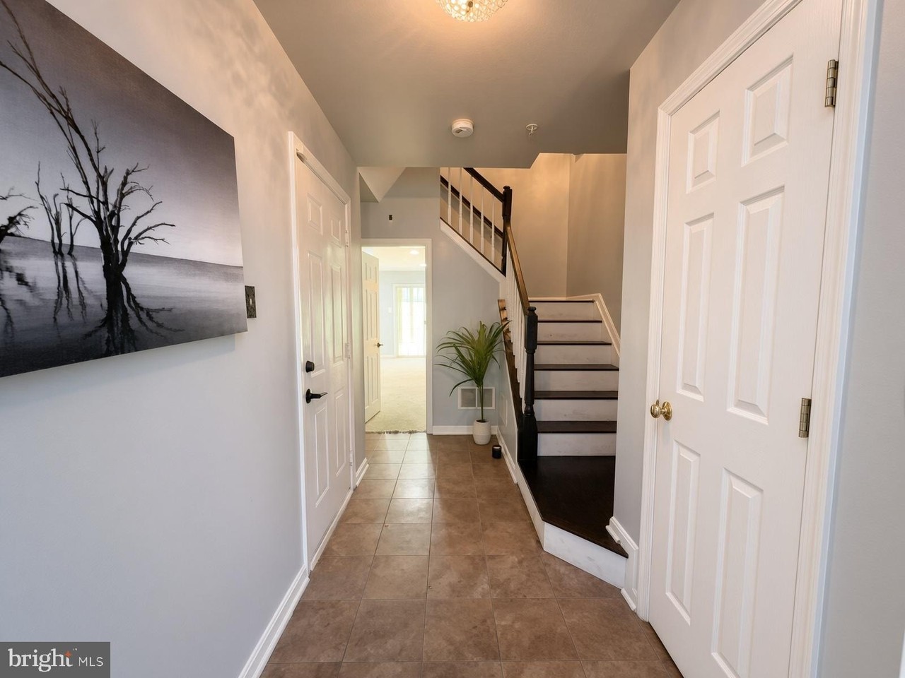 8231 Brooktree St - Photo 2 of 10
