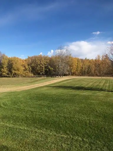 53006 Glory Hills Rd - Photo 3 of 16