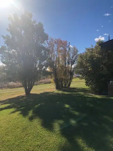 53006 Glory Hills Rd - Photo 5 of 16