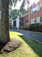 featured image of 393 Grove St