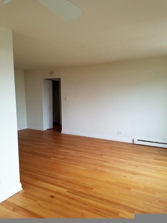 3710 North Pine Grove Avenue - Photo 4 of 9