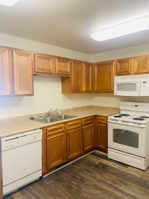 834 Whitetail Ct - Photo 3 of 11