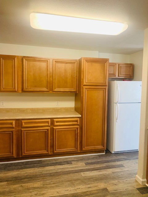 834 Whitetail Ct - Photo 4 of 11