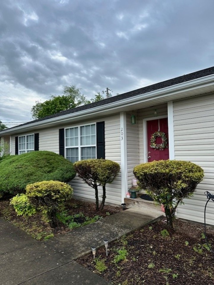 1-level living in the Heart of Johnson City - Photo 2 of 11