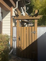 featured image of 629 19th St #629