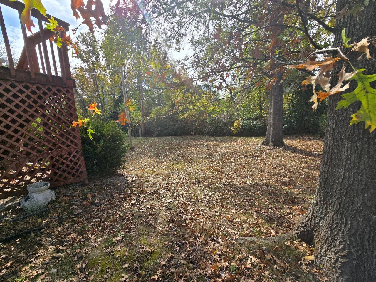 1304 Winchester Dr - Photo 7 of 24
