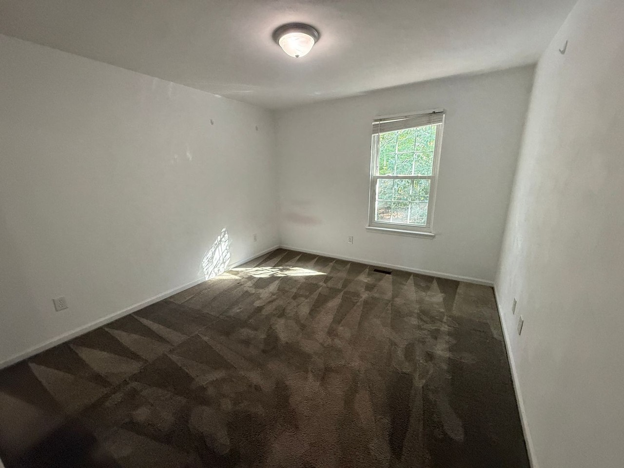 2805 Saville Garden Way - Photo 5 of 8