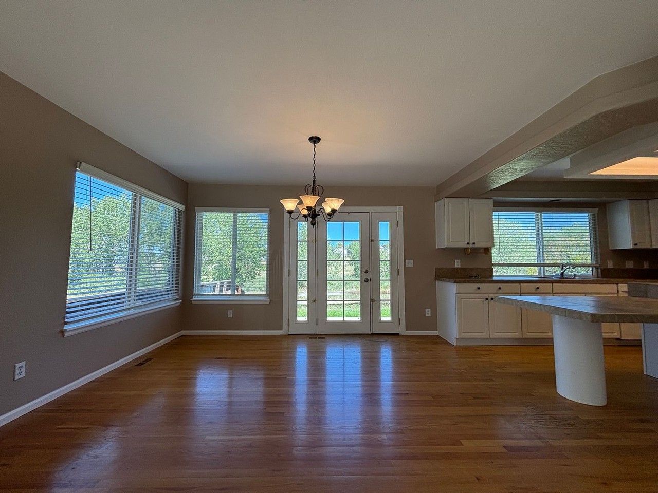 1181 Savannah Sparrow Dr - Photo 4 of 24