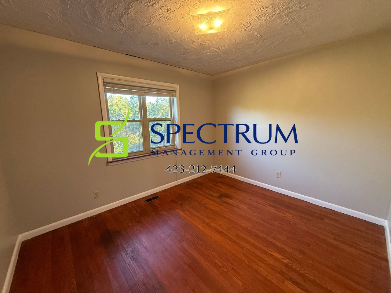 905 Dalton Cir - Photo 6 of 20