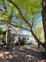featured image of 115 Mimosa Dr